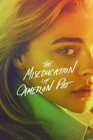 The Miseducation of Cameron Post 2025 426613 w500 | Readd — Find What to Watch Next