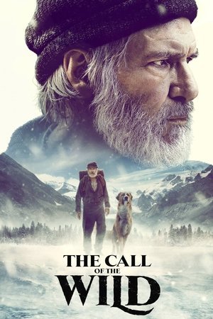 The Call of the Wild 2025 481848 w500 | Readd — Find What to Watch Next