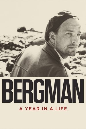 Bergman: A Year in a Life 2025 522868 w500 1uaqyt9GhBDNoh8XFsFYO9tQ5Pl | Readd — Find What to Watch Next
