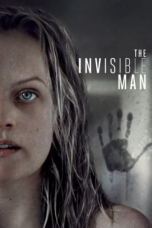 The Invisible Man 2025 570670 w500 5EufsDwXdY2CVttYOk2WtYhgKpa | Readd — Find What to Watch Next