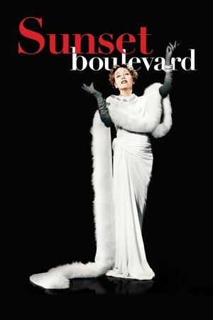 Sunset Boulevard 2025 599 w500 | Readd — Find What to Watch Next
