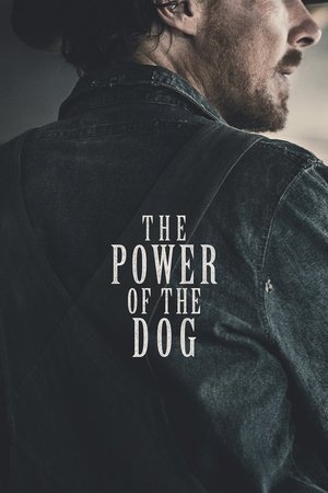 The Power of the Dog 2025 600583 w500 kEy48iCzGnp0ao1cZbNeWR6yIhC | Readd — Find What to Watch Next