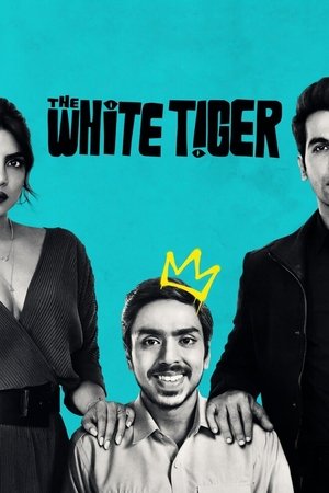 The White Tiger 2025 628534 w500 5JnmseS3DZ6ad2VMbrnbGCs8Rst | Readd — Find What to Watch Next