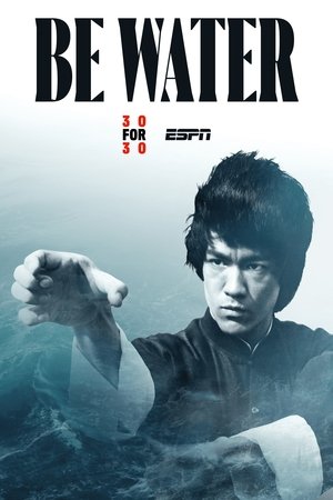 Be Water 2025 653733 w500 yUDtBBQEpmYptyk6wbYR54Sa2OD | Readd — Find What to Watch Next