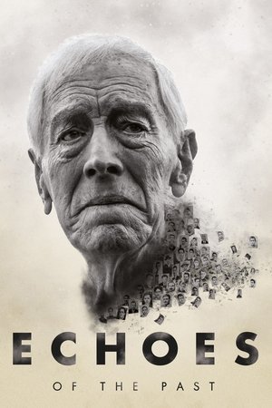Echoes of the Past 2025 844227 w500 | Readd — Find What to Watch Next