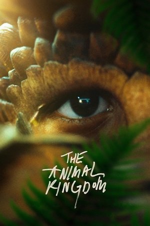 The Animal Kingdom 2025 943134 w500 39AiQnXlXOjoqBSkiUpTG80rXLw | Readd — Find What to Watch Next
